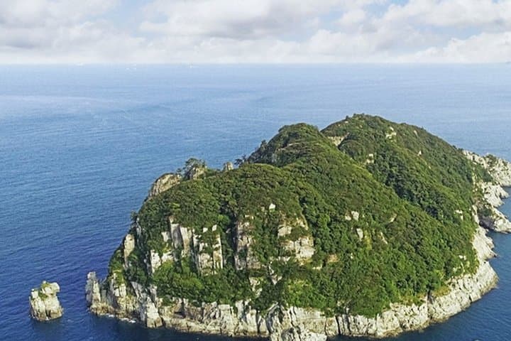 Busan to Tongyeong & Geoje: Private Full-Day Coastal Tour with Oedo-Botania
