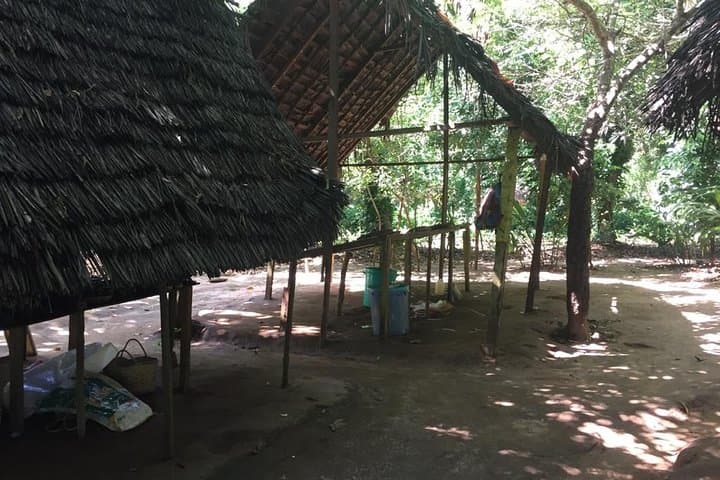 Spice Farm and Jozani Forest Private Tour — Zanzibar Day Trip Guide photo 4