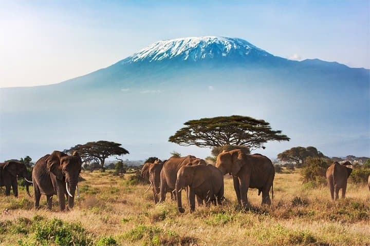 Amboseli National Park 2-Day Safari: Kilimanjaro Views & Guaranteed Elephants
