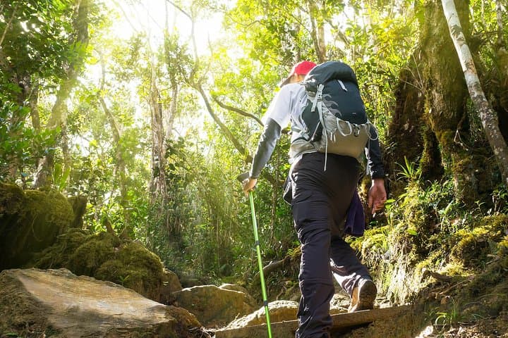 Batu Caves and Templer’s Park Day Trip: Kanching Waterfalls Guide photo 3