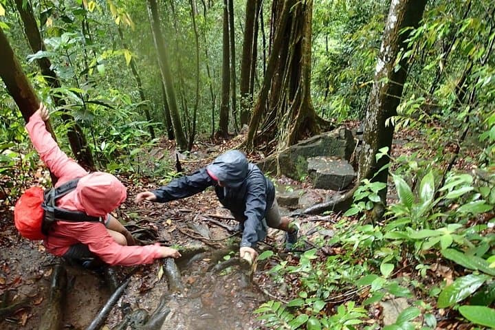 Templer Park & Kanching Falls Day Tour: Jungle Trek, Limestone Ridge and Swimming photo 4