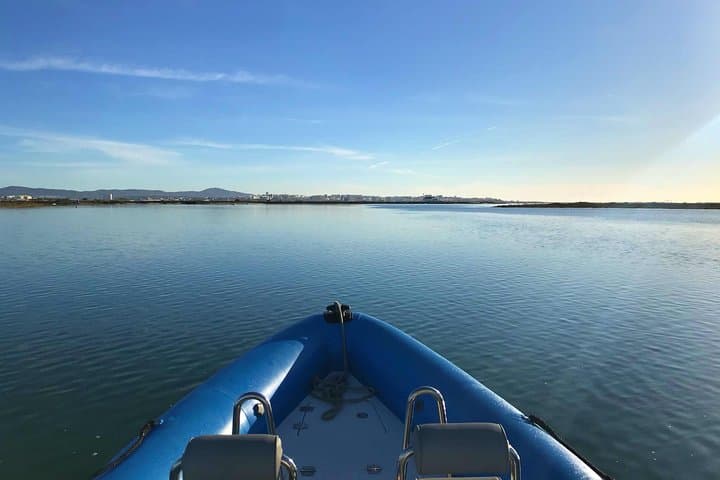 High-Speed Ria Formosa Boat Tour from Faro: Islands, Birds & Barrier Beaches photo 3