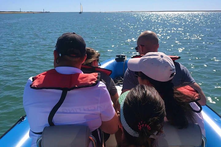 High-Speed Ria Formosa Boat Tour from Faro: Islands, Birds & Barrier Beaches photo 4