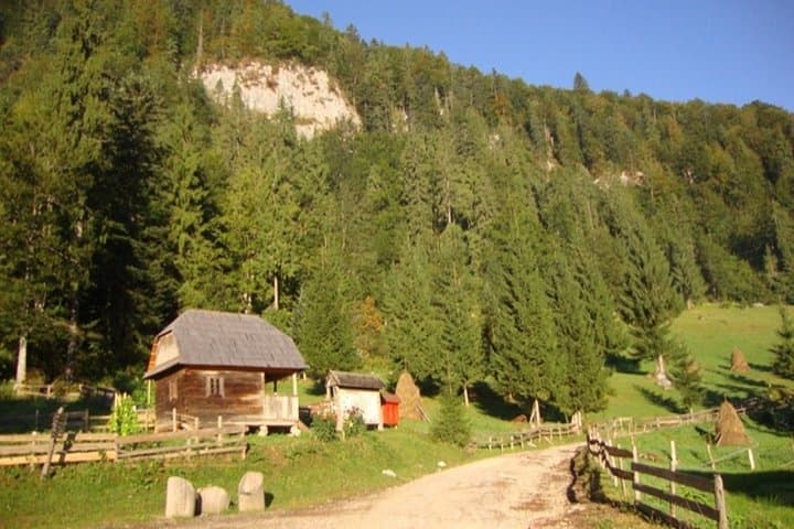 Scarisoara Ice Cave One-Day Tour from Oradea — Visit Romania's Glacier Cave photo 3