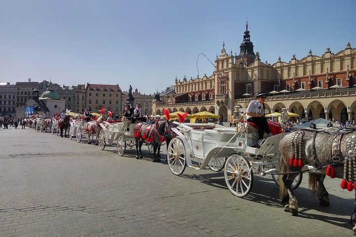 7-Day Krakow and Zakopane Private Tour — Castles, Salt Mines & Tatra Trails photo 6