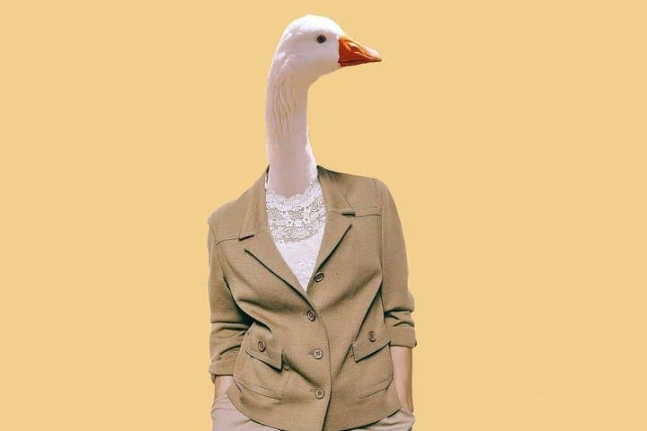 Real-Life Game of the Goose: Interactive City Walk in Antwerp
