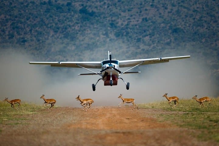 3-Day Private Flying Safari to the Masai Mara: 4x4 Game Drives & Big Five Viewing