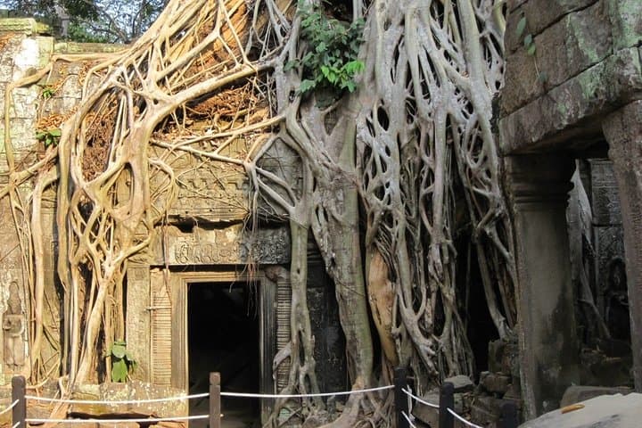 Full-Day Angkor Major Temples Private Tour — Angkor Wat, Bayon & Ta Prohm photo 5