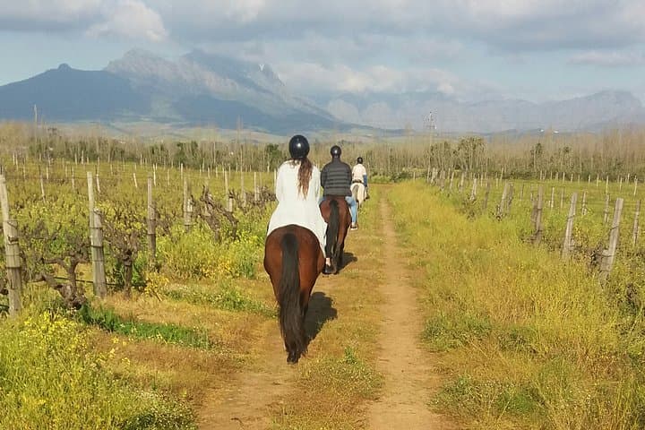 Horse Riding Wildlife Safari near Stellenbosch — 90-Minute Game Reserve Ride photo 5