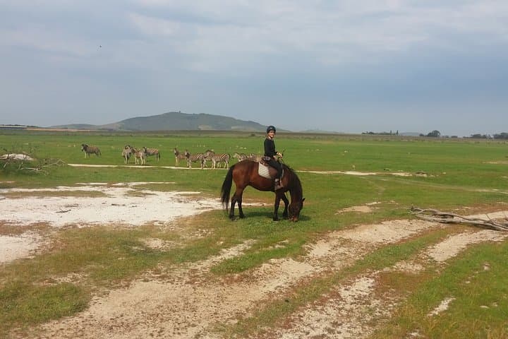 Horse Riding Wildlife Safari near Stellenbosch — 90-Minute Game Reserve Ride photo 6