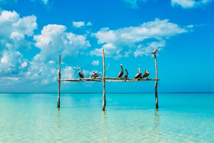 Holbox & Isla Pasion Day Trip from Cancun — Cenote Yalahau, Punta Mosquito & Beach Time photo 4