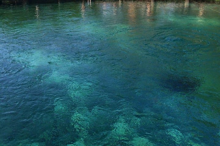 Holbox Day Trip from Cancún: Yalahau Cenote, Punta Mosquito & Isla de la Pasión photo 6