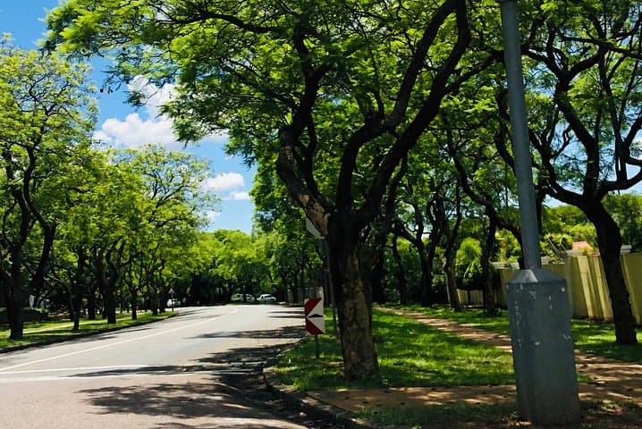 Full-Day Private Tour: Pretoria History and Cullinan Diamond Mine photo 4
