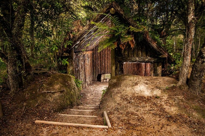 Buried Village of Te Wairoa: Rotorua’s 1886 Tarawera Archaeological Site photo 2