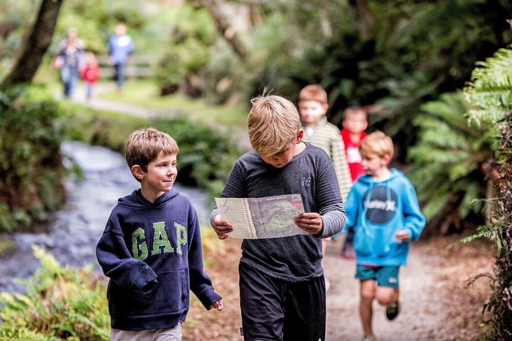 Buried Village of Te Wairoa: Rotorua’s 1886 Tarawera Archaeological Site photo 3