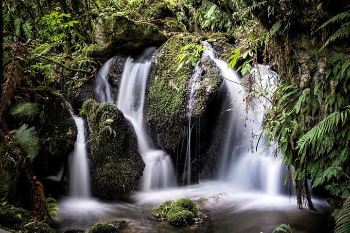 Buried Village of Te Wairoa: Rotorua’s 1886 Tarawera Archaeological Site photo 4