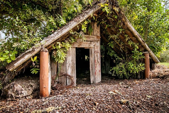 Buried Village of Te Wairoa: Rotorua’s 1886 Tarawera Archaeological Site photo 5