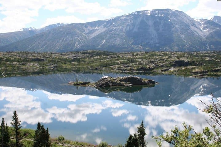 Yukon Suspension Bridge & White Pass Summit Half-Day Tour from Skagway photo 2