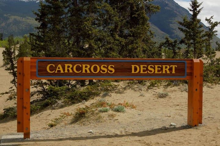 Yukon Discovery Tour from Skagway: White Pass, Carcross Desert & Dog Mushing Camp photo 3