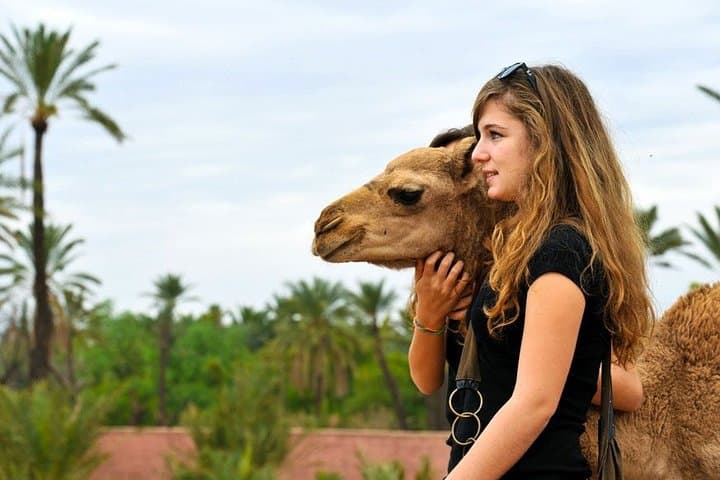 Atlas Mountains & Berber Villages: Full-Day Trek from Marrakech photo 2