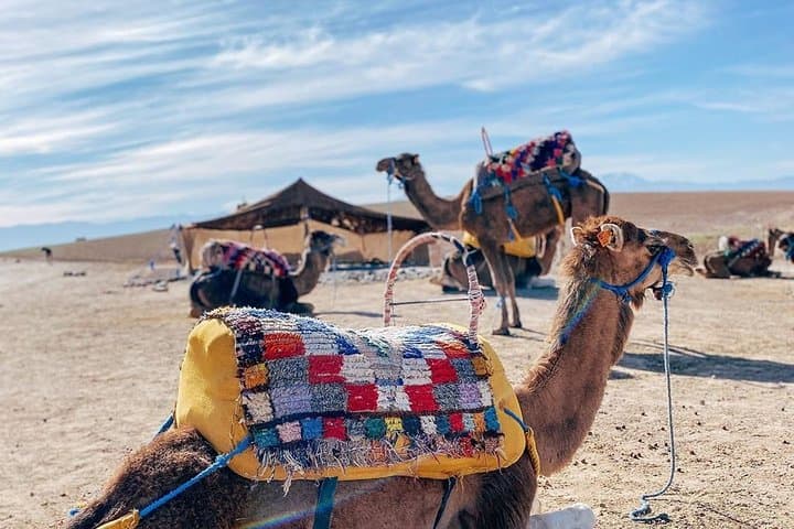 Atlas Mountains & Berber Villages: Full-Day Trek from Marrakech
