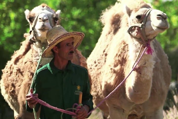 Atlas Mountains Day Trip from Marrakech: Anima Garden, Imlil & Berber Lunch photo 6