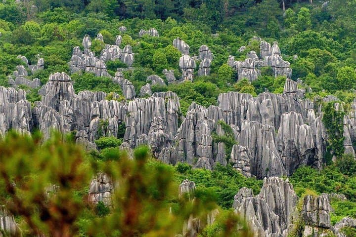 Karst Giants & Copper Halls: Private Day Tour to Stone Forest and Kunming's Golden Temple photo 4
