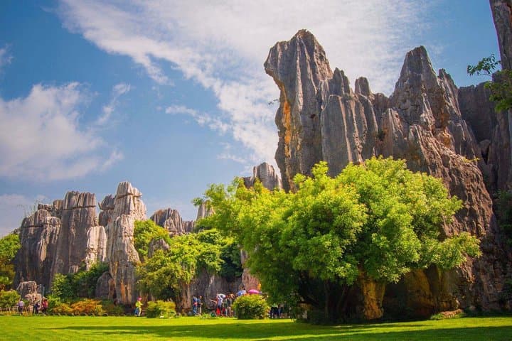 Karst Giants & Copper Halls: Private Day Tour to Stone Forest and Kunming's Golden Temple