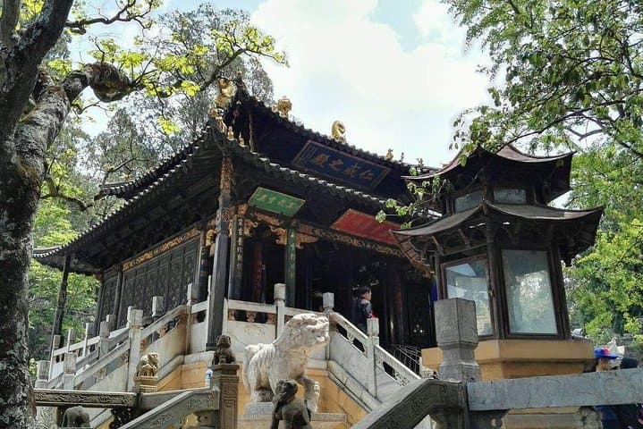 Karst Giants & Copper Halls: Private Day Tour to Stone Forest and Kunming's Golden Temple photo 5