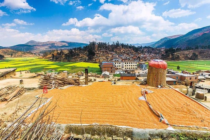 Kunming Day Tour: Private Excursion to Stone Forest and Chengzi Ancient Village photo 3