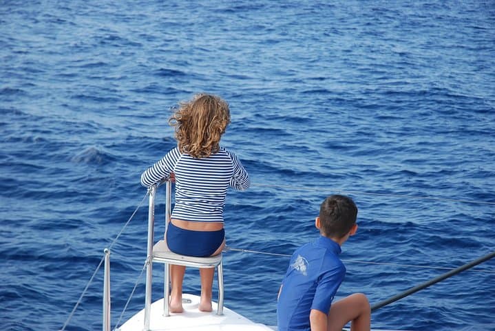 Luxury Catamaran Whale-Watching Charter in Costa Adeje, Tenerife photo 4