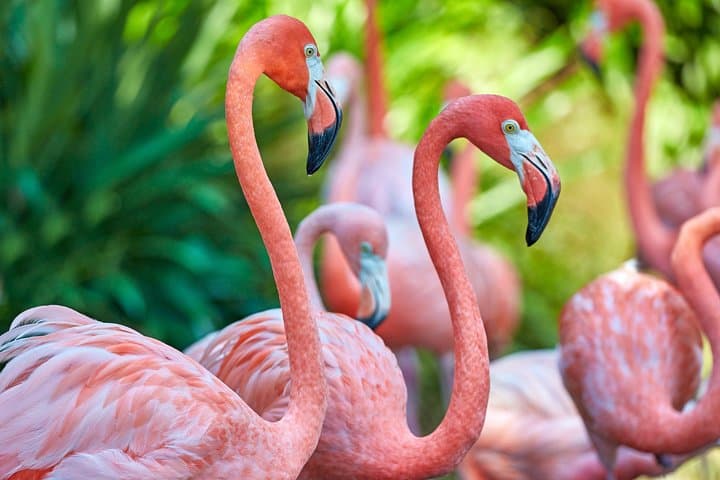 Selous Safari: 3-Day Rufiji River Boat, Full-Day Game Drives & Walking Safari photo 1