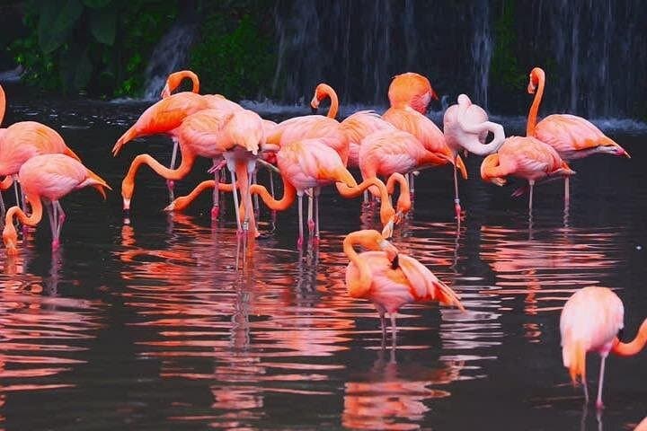 Selous Safari: 3-Day Rufiji River Boat, Full-Day Game Drives & Walking Safari photo 3