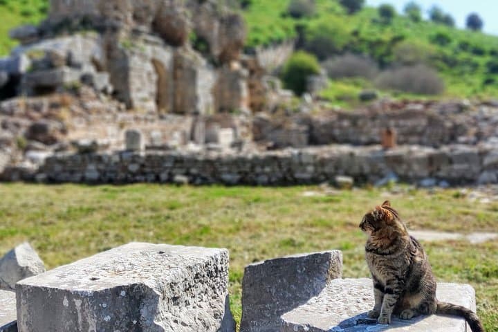 Private Ephesus Day Trip by Plane from Istanbul — All-Inclusive Guide photo 5