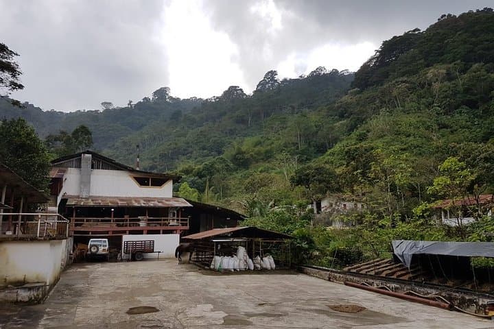 Minca Waterfalls & Coffee Farm Day Trip from Santa Marta — Hike, Swim, Taste photo 6