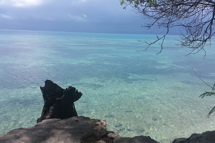 Prison Island (Changuu) Half-Day Tour from Zanzibar — Tortoises, Snorkel & History photo 6