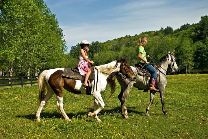 Thrilling Zipline Canopy & Horseback Riding Combo in Sarapiqui, Costa Rica photo 3