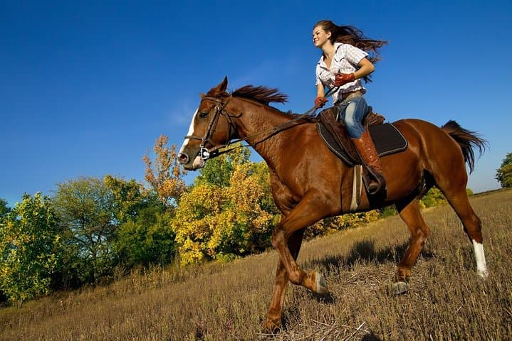 Thrilling Zipline Canopy & Horseback Riding Combo in Sarapiqui, Costa Rica photo 5