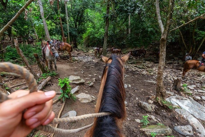 Thrilling Zipline Canopy & Horseback Riding Combo in Sarapiqui, Costa Rica photo 6