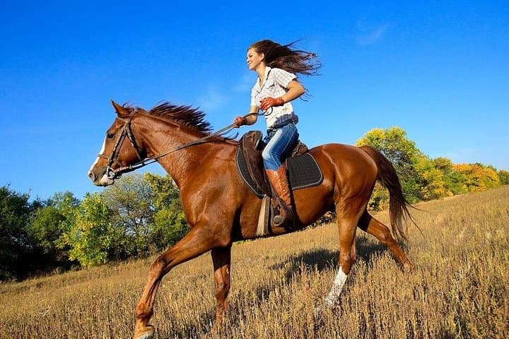 Arenal Volcano Horseback Riding and Baldi Hot Springs Private Tour
