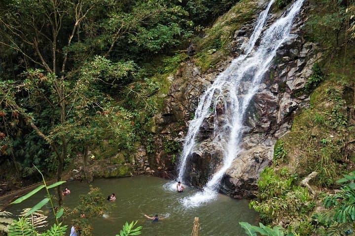 Minca Waterfalls & Coffee Farm Day Trip from Santa Marta — Hike, Swim, Taste