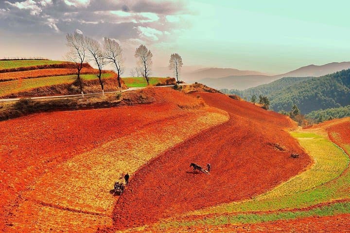 Capture Dongchuan Red Land: 2-Day Private Photography Tour from Kunming photo 5