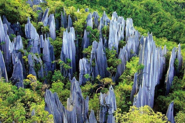 Kunming Day Tour: Private Excursion to Stone Forest and Chengzi Ancient Village