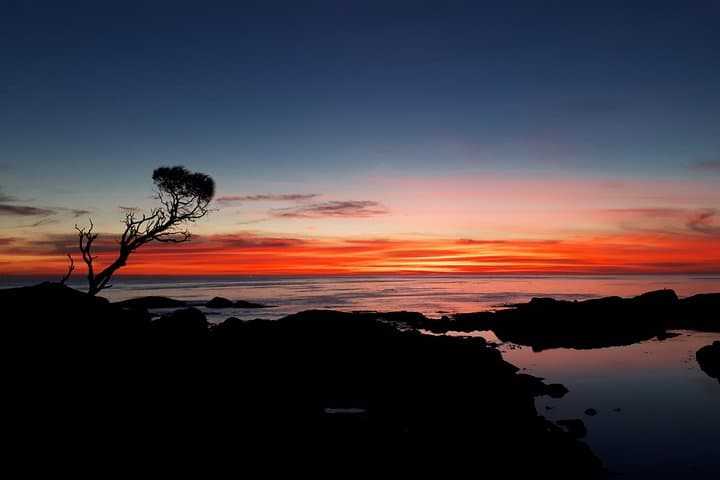 3-Day Bay of Fires Photography Workshop from Hobart photo 6