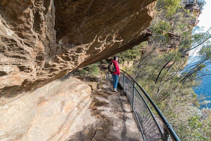 Blue Mountains Highlights & Featherdale Wildlife Park Day Tour from Sydney photo 1