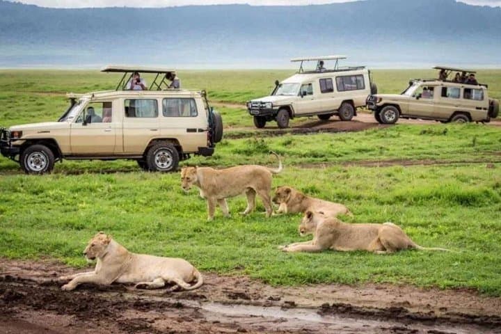 3-Day Mid-Range Safari: Tarangire, Lake Manyara & Ngorongoro Crater photo 3