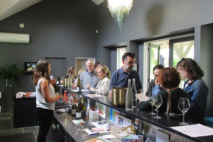 Martinborough in a Day: Guided Wine Tasting Tour with Lunch on the Golden Mile photo 3