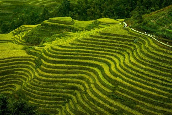 Longji Rice Terraces Private Excursion — Longsheng Terraces & Minority Villages Day Tour