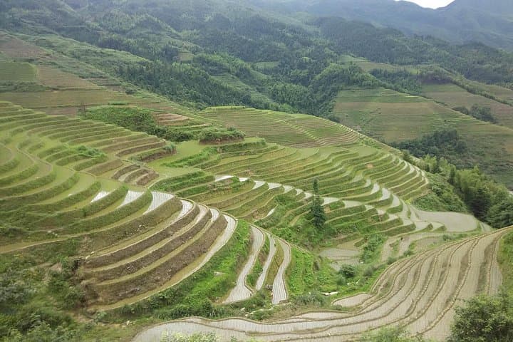 Longji Rice Terraces Private Excursion — Longsheng Terraces & Minority Villages Day Tour photo 4