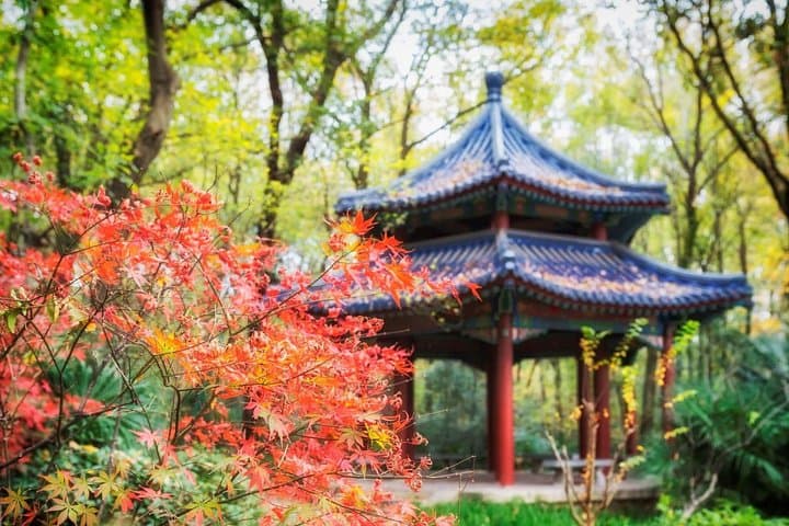 Private Nanjing Day Trip from Wuxi by Bullet Train: Flexible City Highlights photo 3